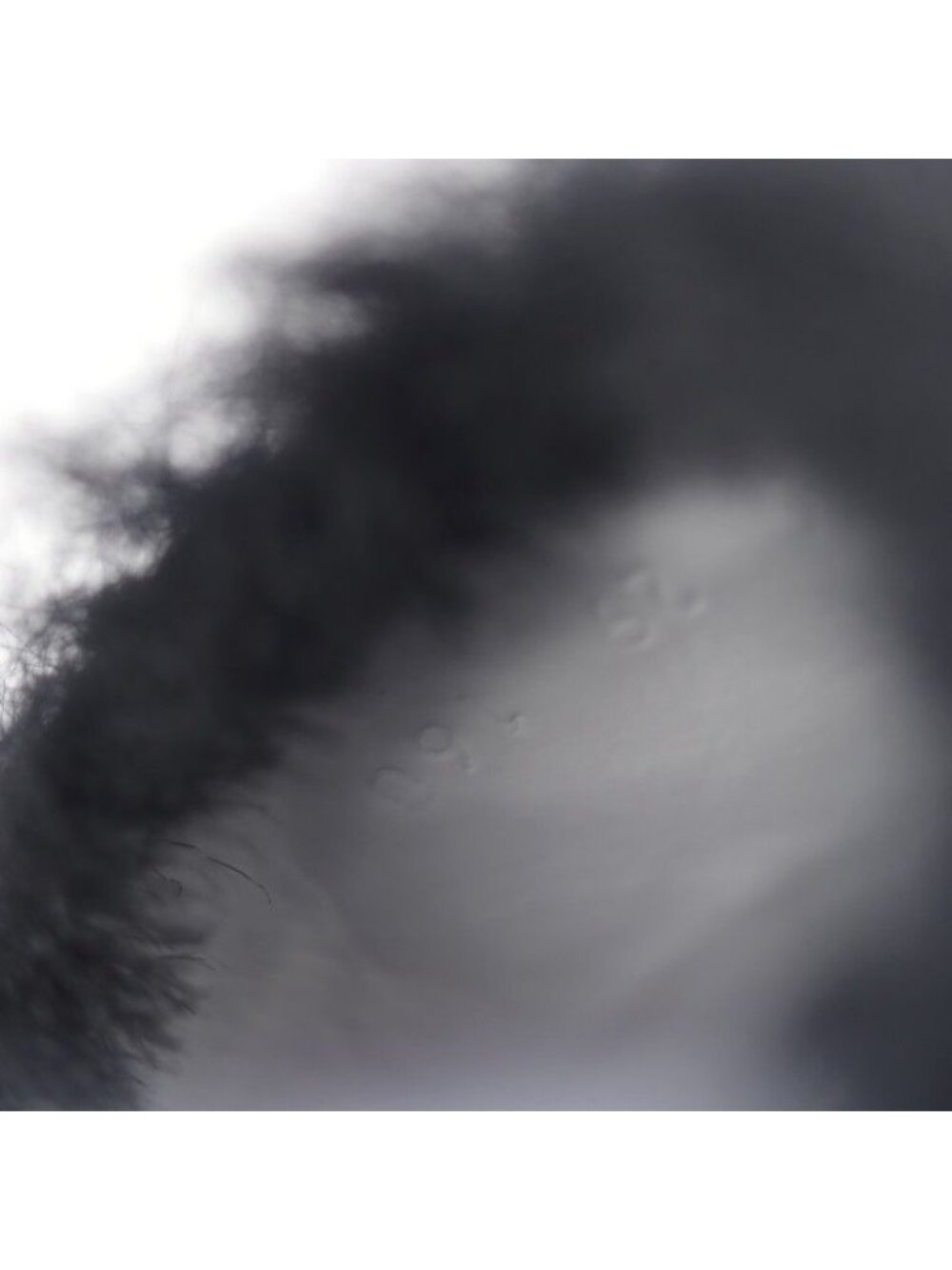 Gucci Horsebit Sandals 29 Rubber Faux Fur Tricolor - Picture 8 of 9